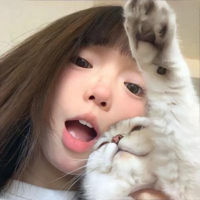 九星报喜 在线观看封面
