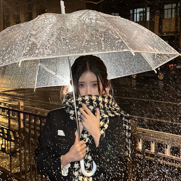 罗美雪妮黛的美丽与哀愁 在线观看封面